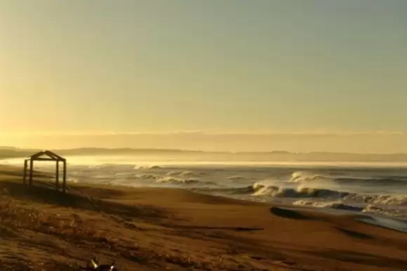 Portada chacras #1458 - Punta Ballena